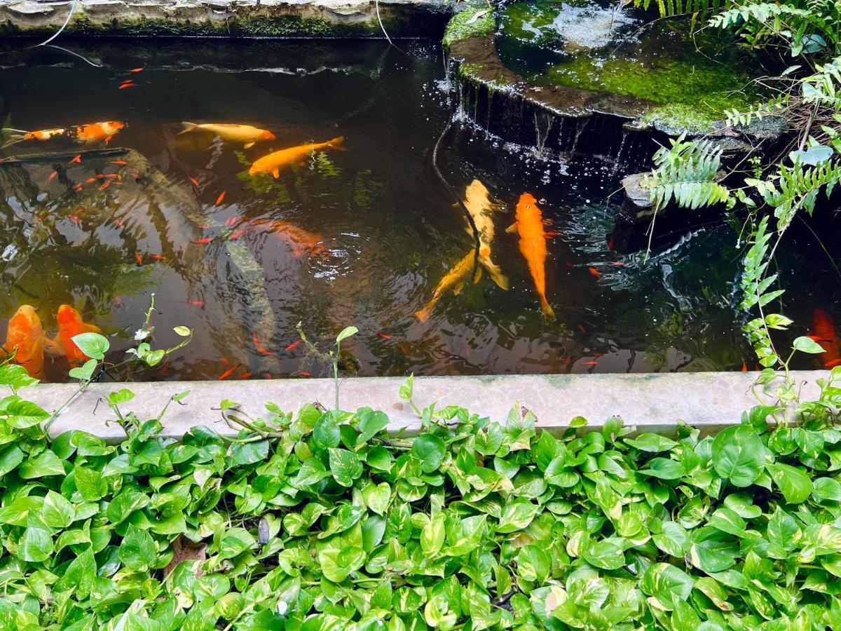 Hotel La Villa Khon Kaen Eksteriør bilde